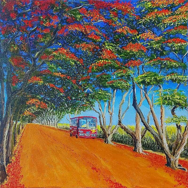 local-bus-in-mauritius-mario-hagitheodorou